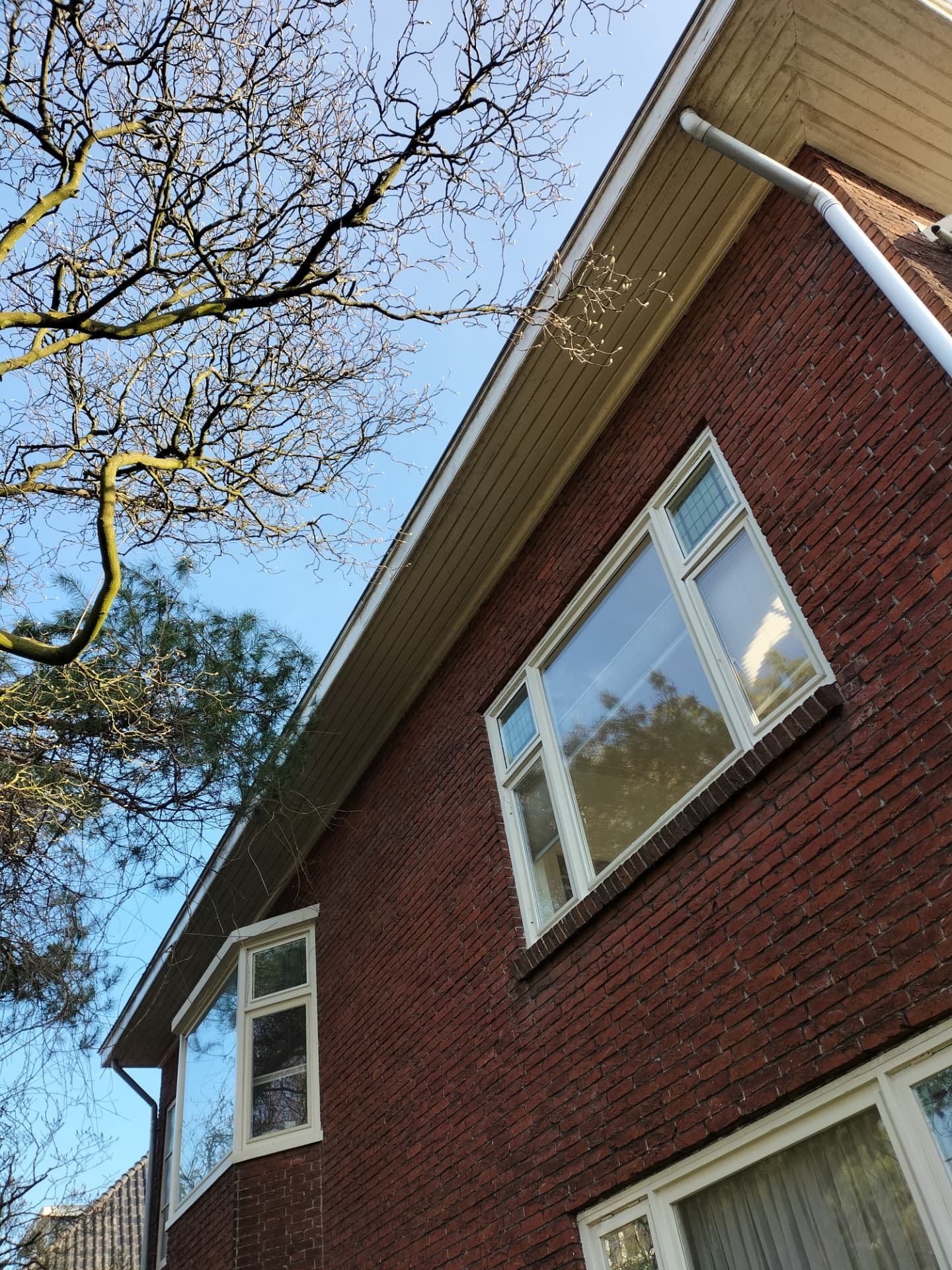Schilderwerk project 10