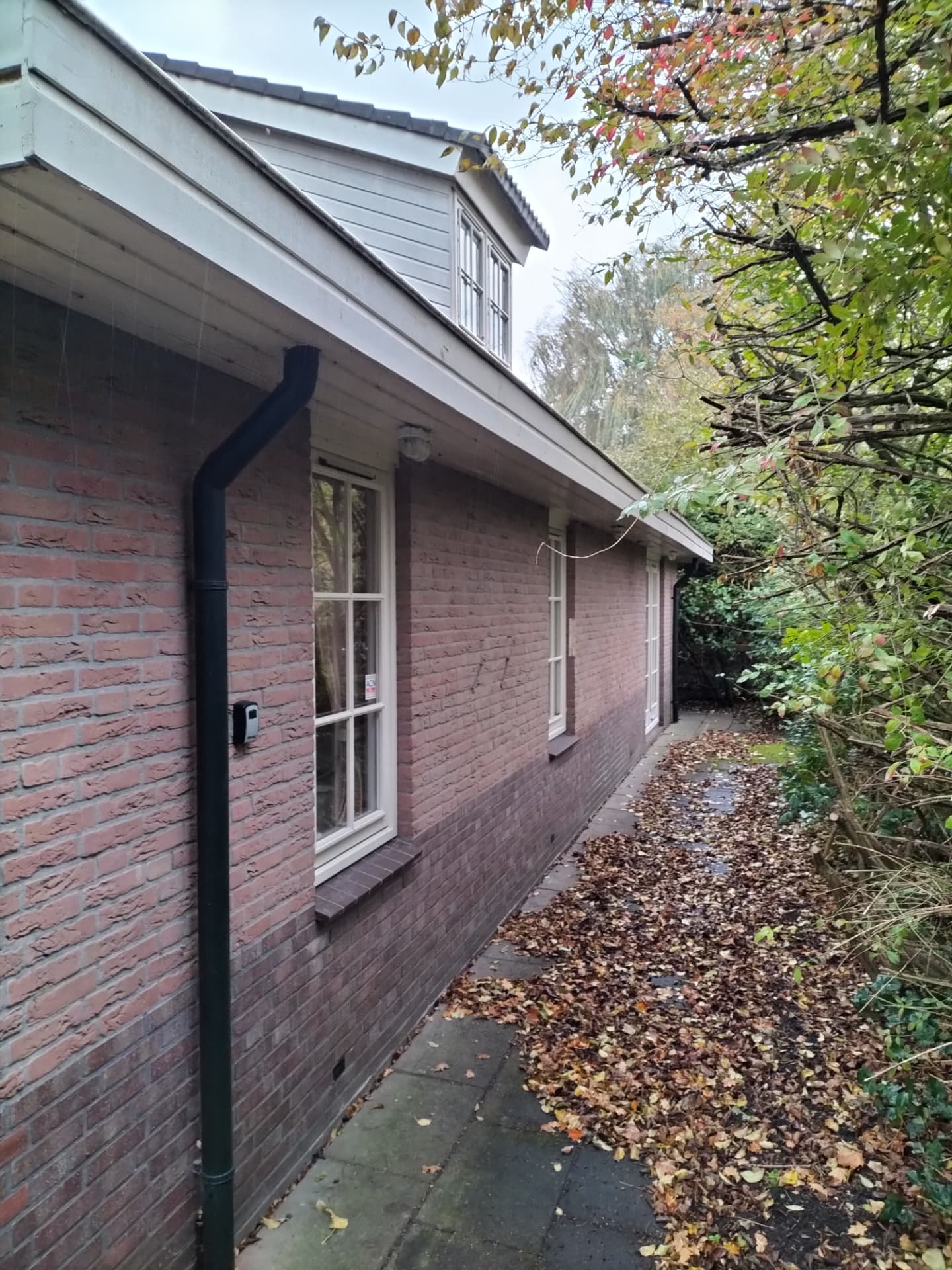 Dakrand en boeiboord Camperduin